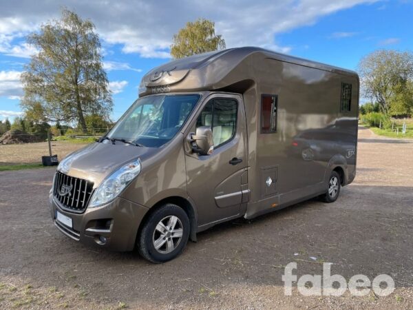 Opel STX Movano Horsebox OPEL STX MOVANO HORSEBOX