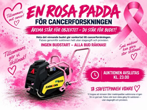 Välgörenhetsauktion